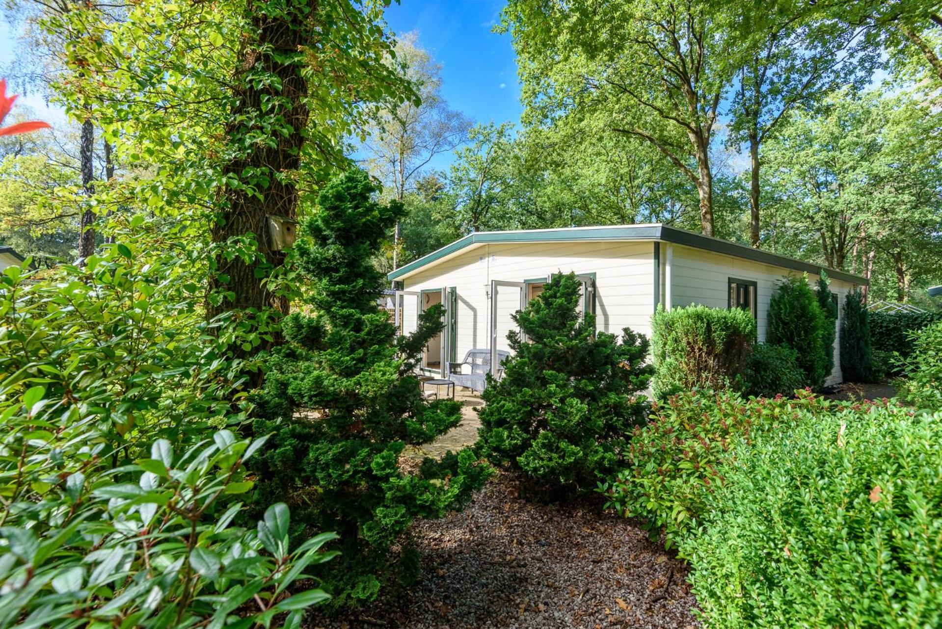 Luxe Familiehuis Veluwe 4-6 Persons Pool Kids Dog Hoenderloo Zewnętrze zdjęcie